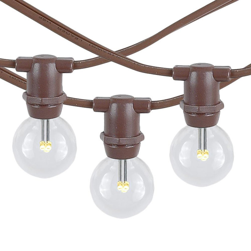 Warm White LED Globe Outdoor String Lights with Brown Wire, 100 Feet
