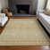  Bhavya Area Rug