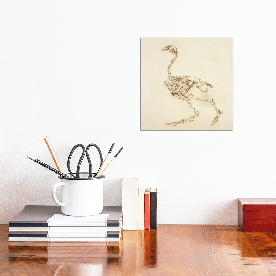 Dorking Hen Skeleton, Lateral View by George Stubbs - Wrapped Canvas Print