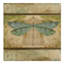 «Deagen Dragonfly parmi les fougères 1», reproduction d'impression sur toile tendue-30357589