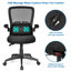 Ebern Designs Briaca Executive Chair