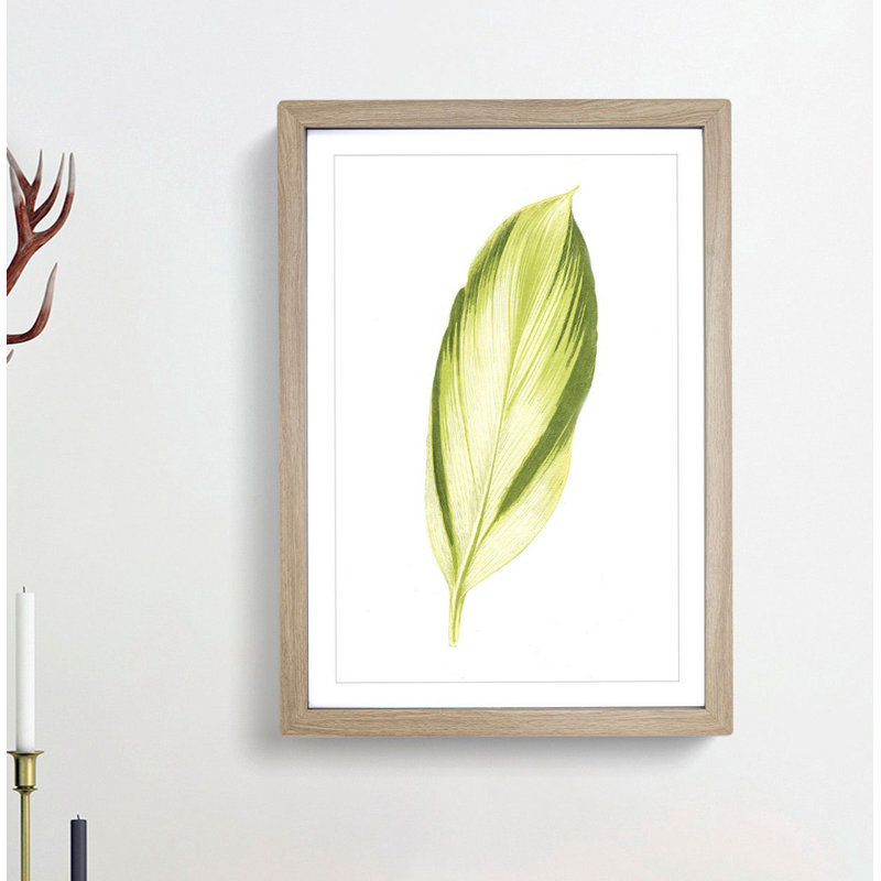 Pretty Green Leaf by Benjamin Fawcett - Picture Frame Painting Print, 76cm H x 50cm W x 2cm D, Oak