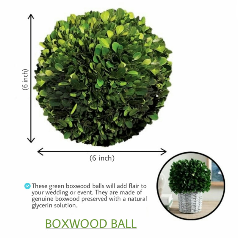 Gracie Faux Boxwood Topiary, 6" H x 6" H