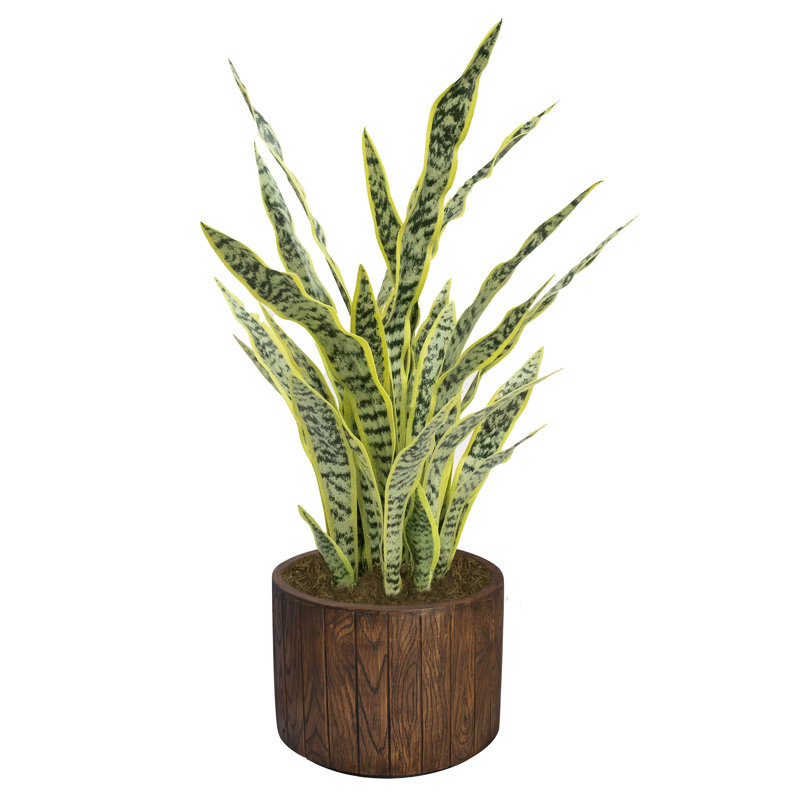 41'' Faux Agave Tree in Fiberstone Planter