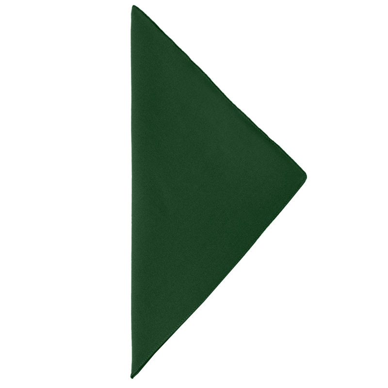 Aizhan Polyester Solid Colour Square Napkin, Hunter, 17" x 17"