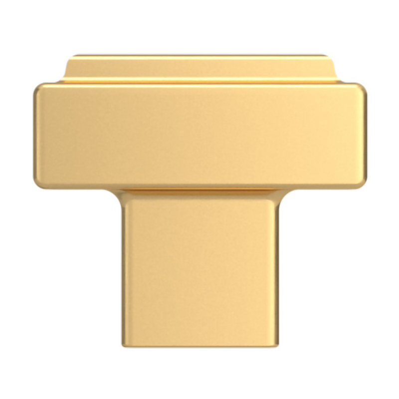 Rectangular Satin Brass Traditional Cabinet Knob with Mounting Hardware