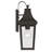 Cleary 16" 1-Light Outdoor Wall Light with Clear Glass in Olde Bronze-126690918-126690922