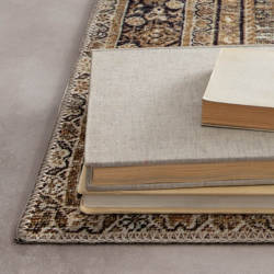 Charlton Home® Sagefield Performance Ivory/Sand/Beige/Grey Rug ...