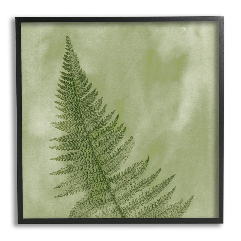 Art moderne de giclée de plante moderne par Ziwei Li, Giclée encadrée noir minuit, H 12 po x l 12 po x P 1,5 po