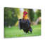 No Frame Print on Canvas-184524