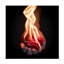 Art sur toile, "Red hot Chili Peppers" par Mike Melnotte-1340613380