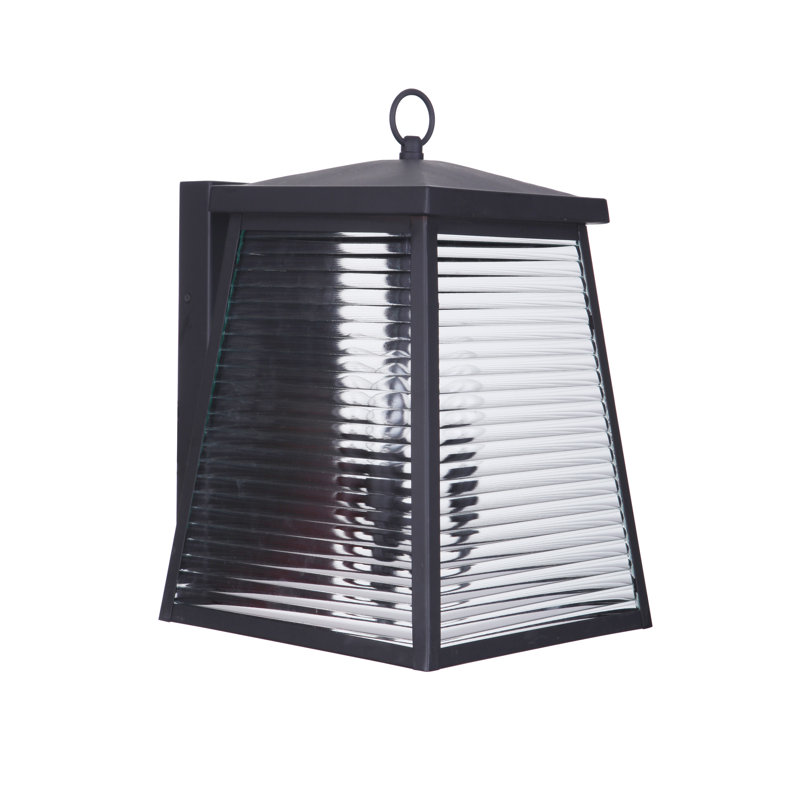 Lylafaye Steel Wall Light, 15.88" H x 10" W x 11.75" D