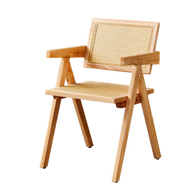 Faux fauteuil en rotin (ensemble de 2) chaise de loisirs pour l'intérieur et l'extérieur