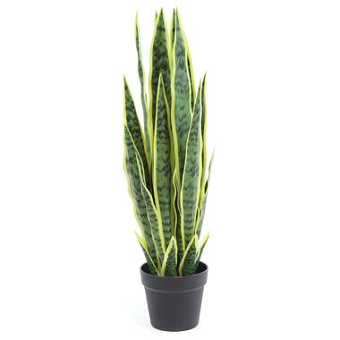 Wayfair  Snake plant Faux Plants You'll Love in 2024