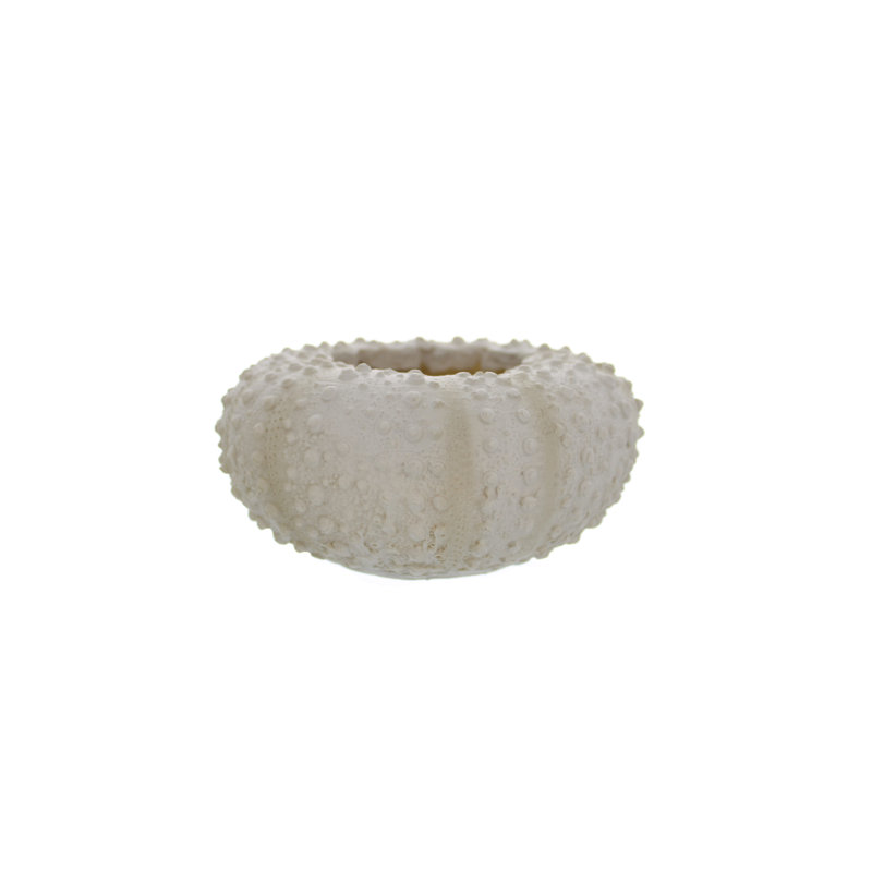 Jar