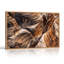 «Layered Striated Rock», art mural sur toile Canyon-578966356