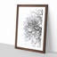 Bare Tree - Picture Frame Graphic Art Print-56862561-56862564