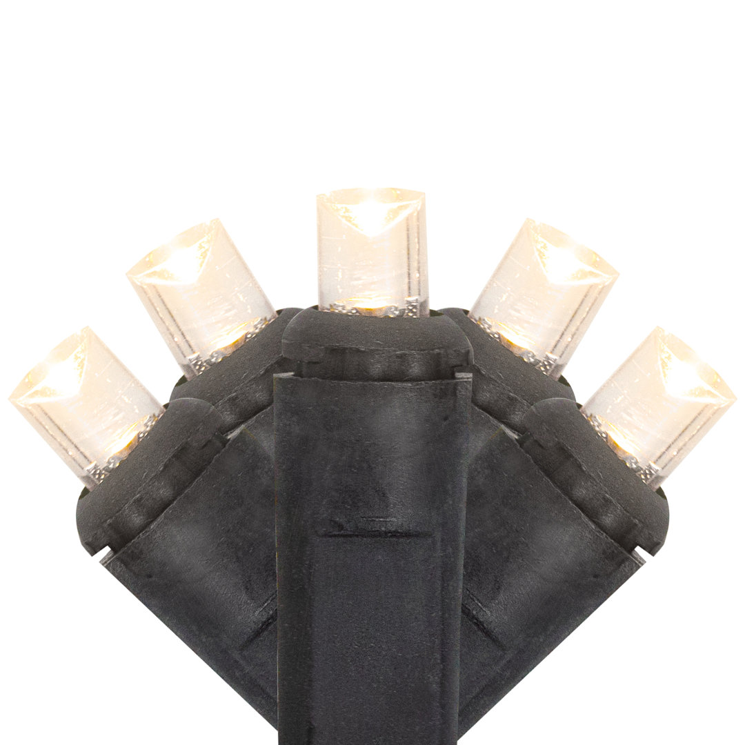 50ct Warm White LED Wide Angle Christmas Lights - 16.25 ft Black Wire Northlight Seasonal