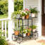 Anjeli Plant Stand