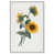 White Floater Framed