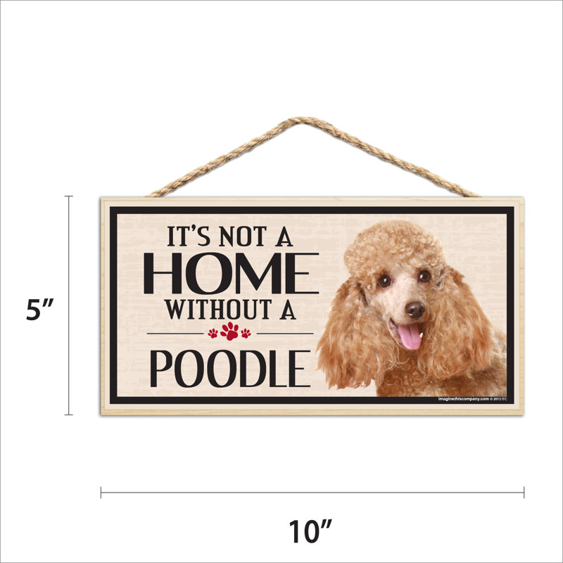 «It's Not a Home sans notre caniche»