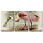 Roseat Spoonbills II 3 pièces-1847039223-1847039216
