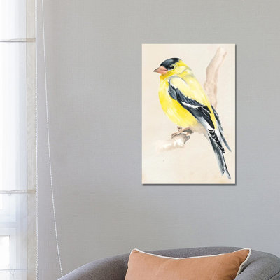 Little Bird on Branch III 1 Piece Wrapped Canvas Wall Art