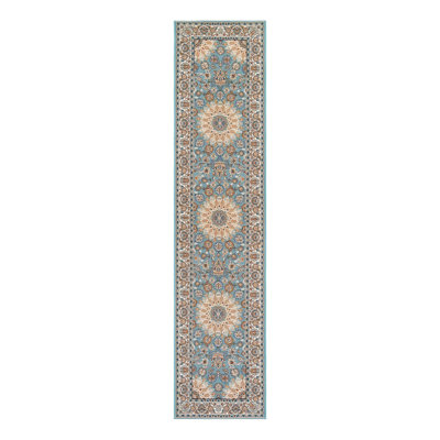 Indoor/Outdoor Traditional Area Rug