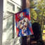 Drapeau patriotique de la maison américaine-112698664