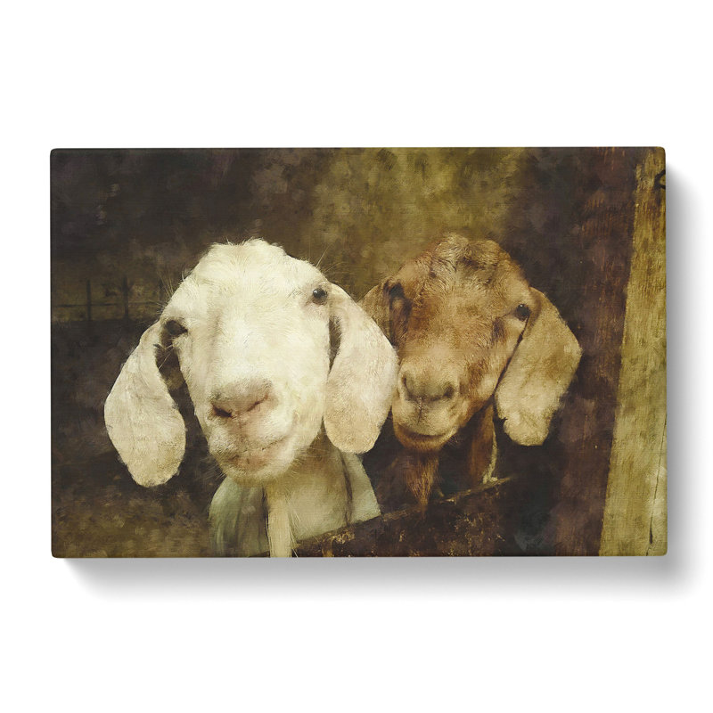 Pair Of Goats - Wrapped Canvas Painting, 35cm H x 50cm W x 3cm D
