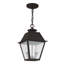 Lanterne suspendue d'extérieur 2 lumières Arnetria-22670196