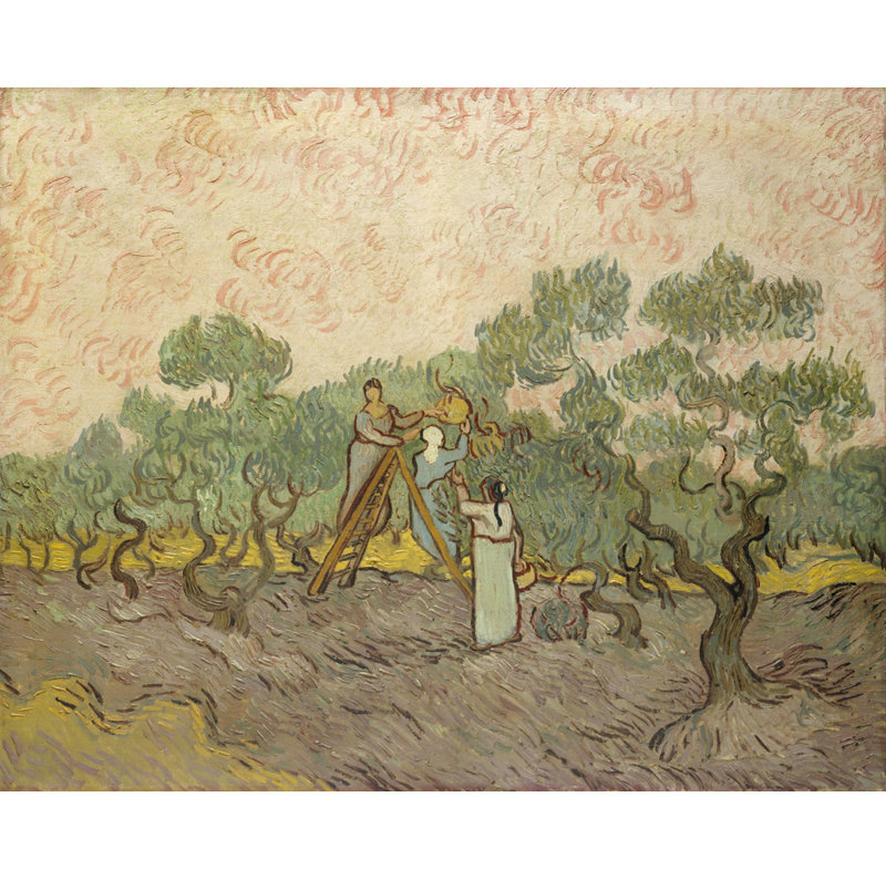 The Olive Orchard, 19" H x 24" W