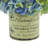 Hydrangea Arrangement in Pot-347074647