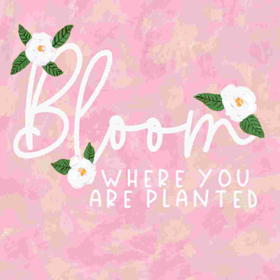 «Where You are Planted», art textuel sur toile tendue