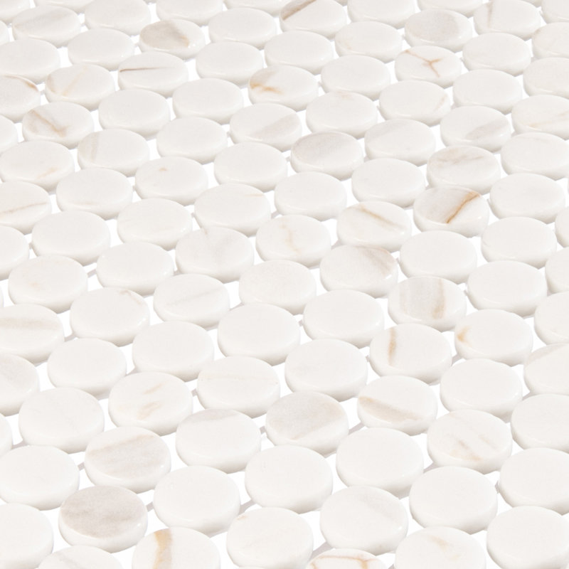 Muse 1" Glass Penny Round Mosaic Wall & Floor Tile, Daphne