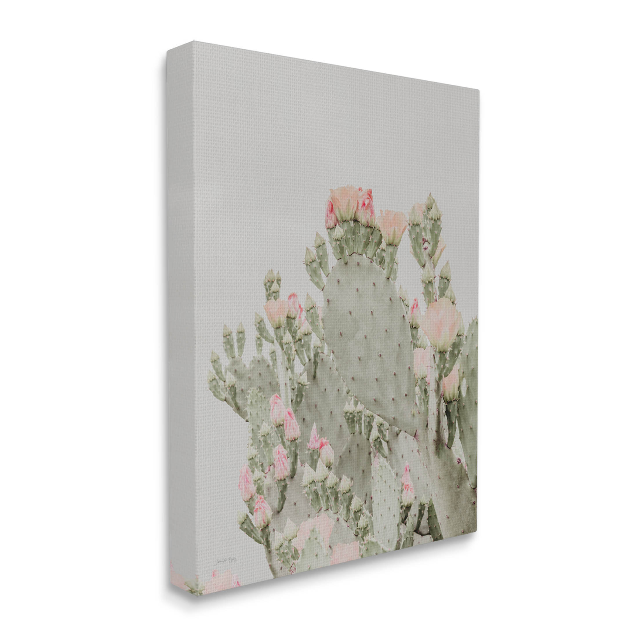 Latitude Run® Pink Cactus Blossoms by Jennifer Rigsby - Wrapped Canvas ...