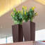Cubico Pot Planter-16493082-16493081
