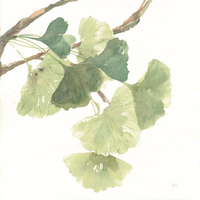 Feuilles de gingko I sur blanc