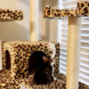 Go Pet Club 72