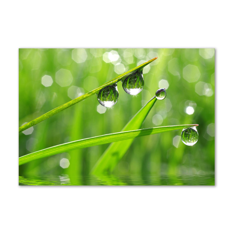 Drops On The Grass - No Frame Print on Glass, Canvas