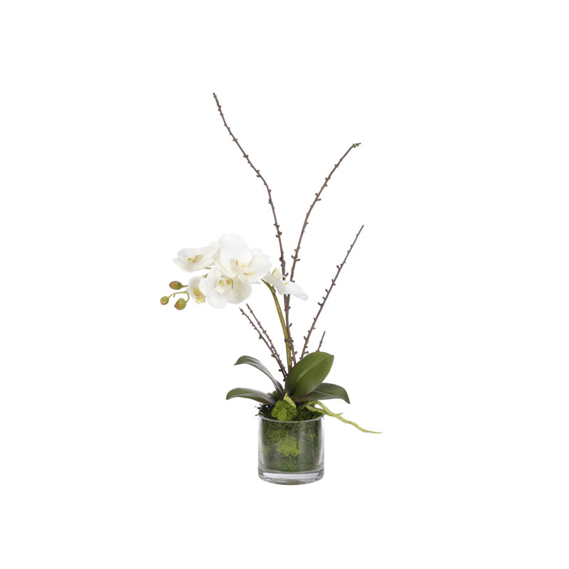 Orchid Floral Arrangement in Jar