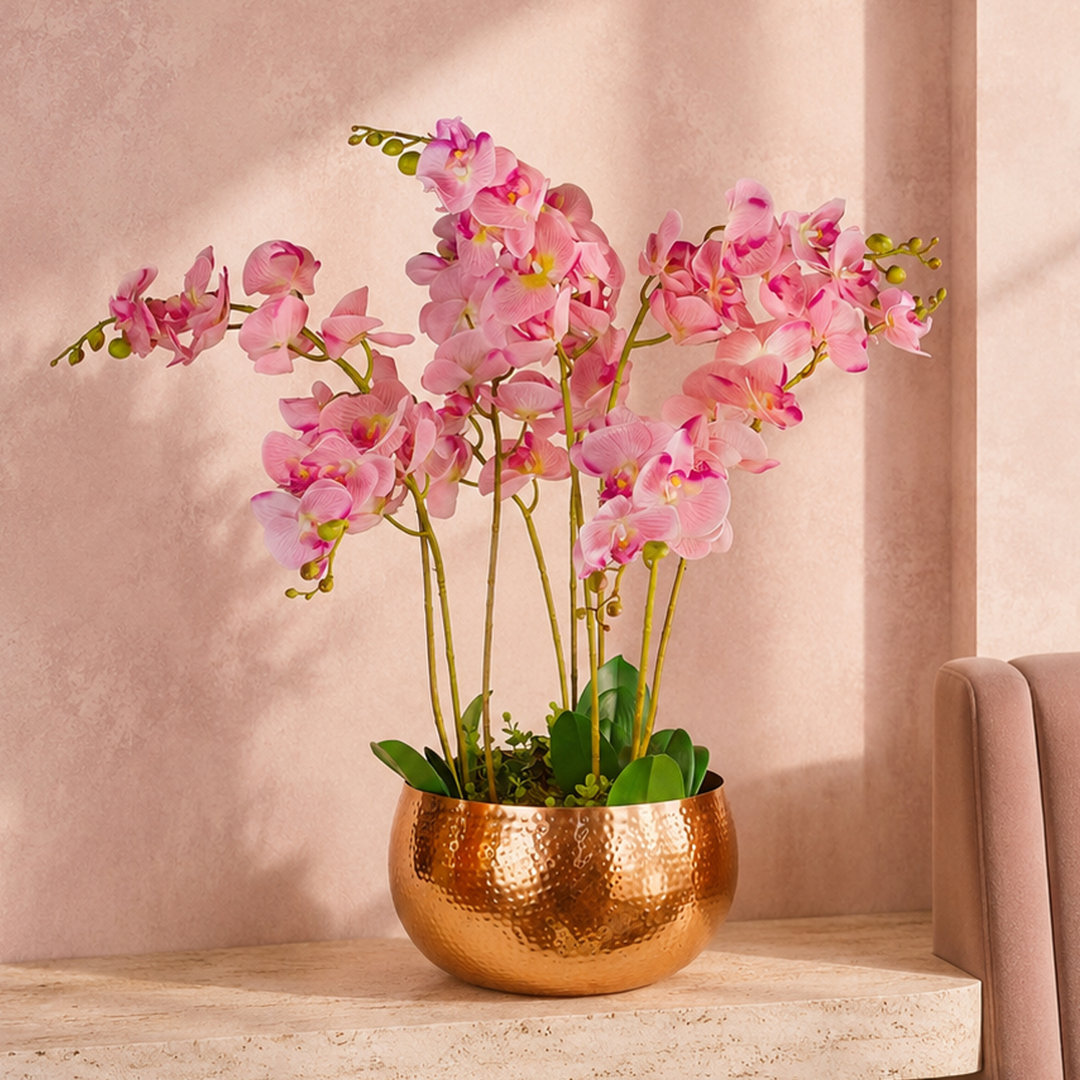 Orchids Floral Arrangement in Pot