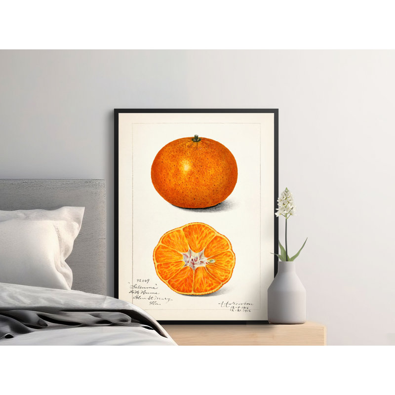 No Frame Print, 28x40