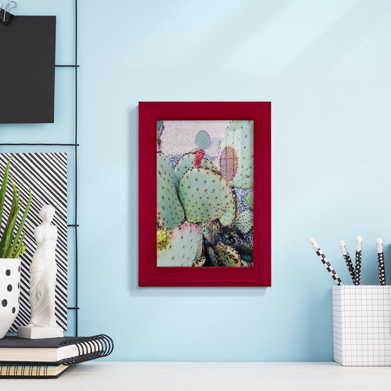 Rose vert cactus II encadré sur papier, Rouge, H 7 po x l 5 po x P 1 po