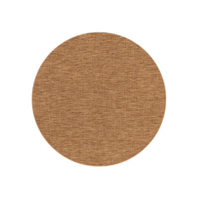 Indoor / Outdoor Area Rug
