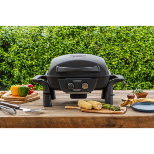 https://assets.wfcdn.com/im/06031708/resize-h300-w300%5Ecompr-r85/2813/281347215/Nexgrill+2+-+Burner+Liquid+Propane+Gas+Grill.jpg