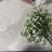 10-Pieces Baby's Breath Centerpiece (not include vase)
