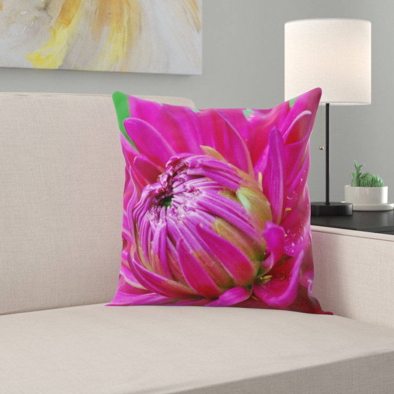 Coussin dahlia, Dahlia 2