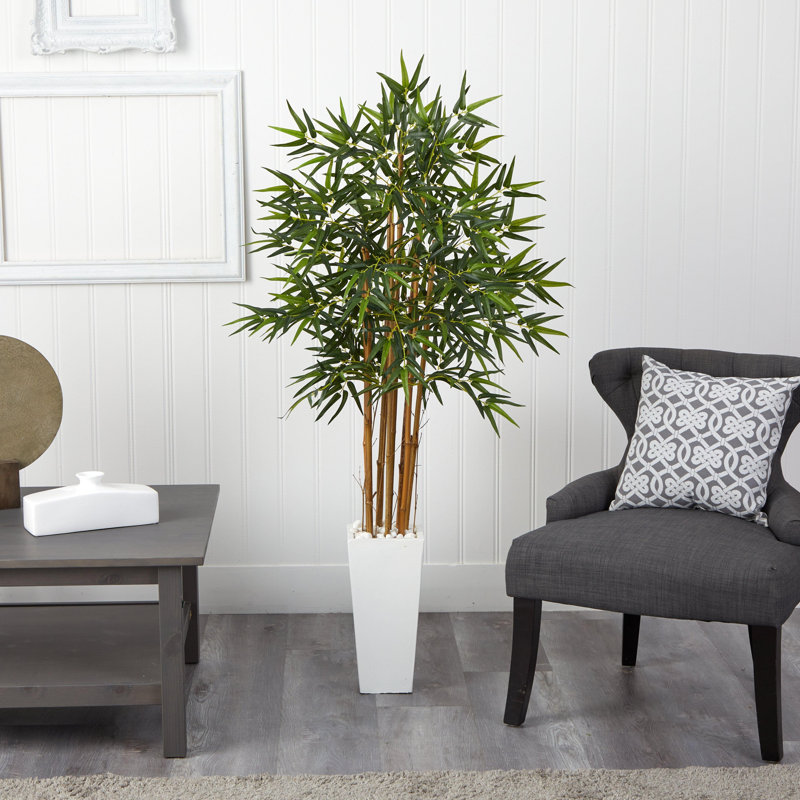 Bamboo Tree in White Tower Planter