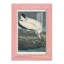 Waverley Pl 216, impression encadrée sur papier-1234225165-1234225157